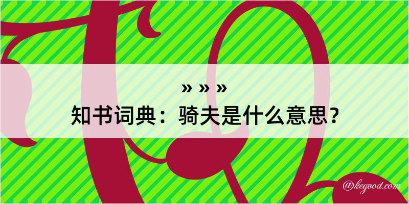 知书词典：骑夫是什么意思？