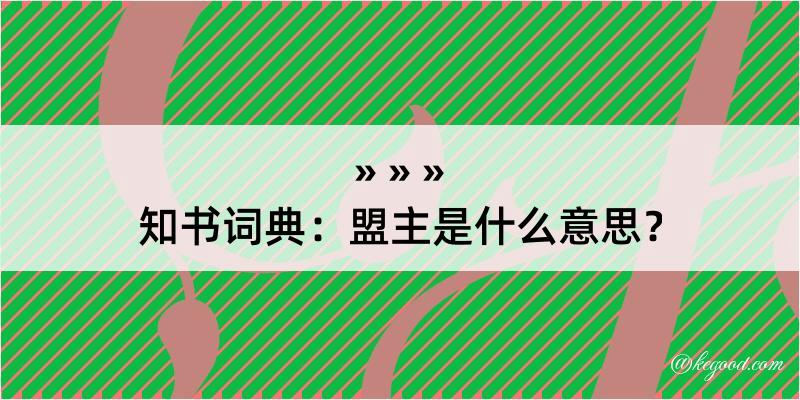 知书词典：盟主是什么意思？