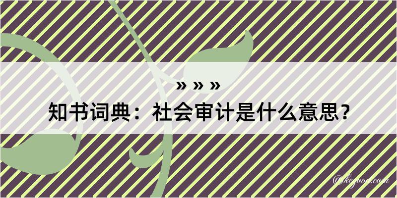 知书词典：社会审计是什么意思？