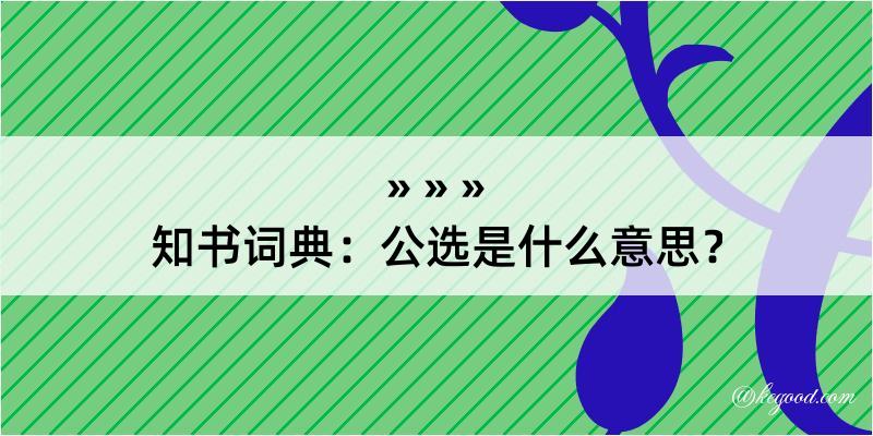 知书词典：公选是什么意思？