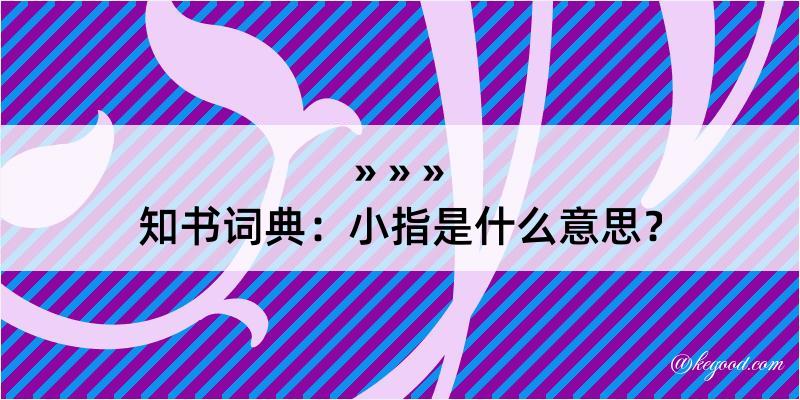 知书词典：小指是什么意思？