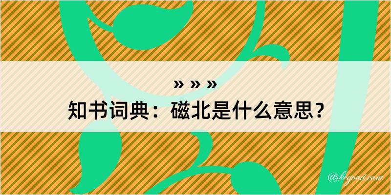 知书词典：磁北是什么意思？