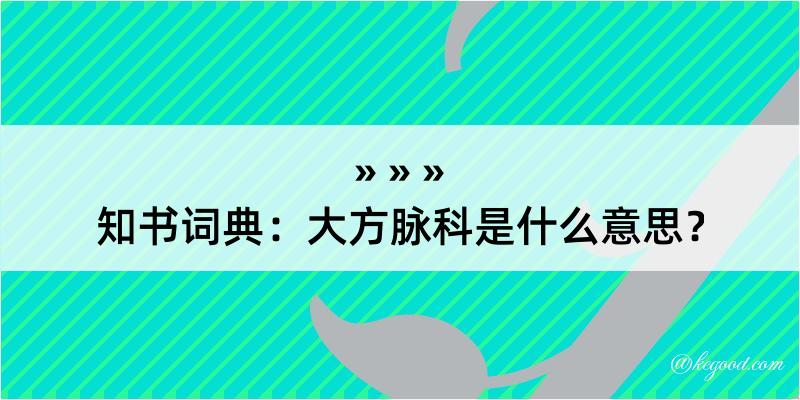 知书词典：大方脉科是什么意思？