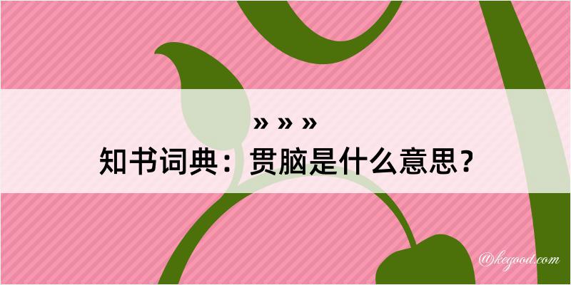 知书词典：贯脑是什么意思？