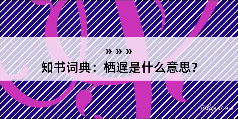 知书词典：栖遅是什么意思？