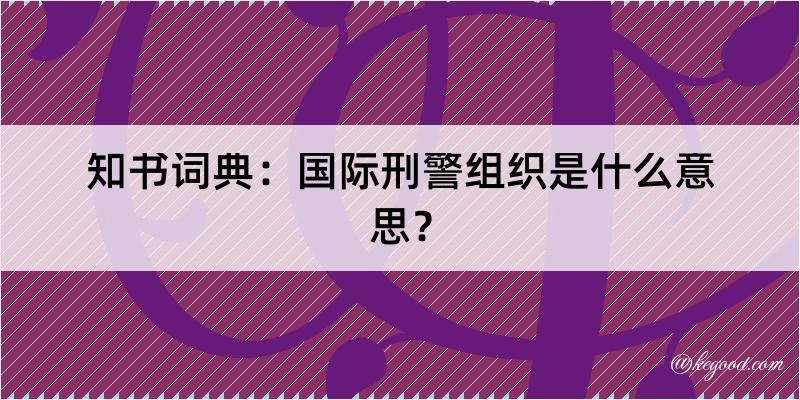 知书词典：国际刑警组织是什么意思？