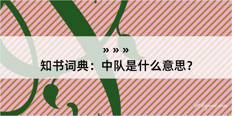 知书词典：中队是什么意思？