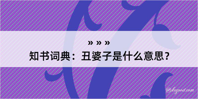 知书词典：丑婆子是什么意思？