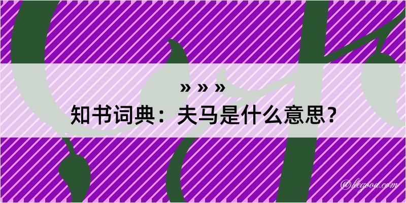 知书词典：夫马是什么意思？