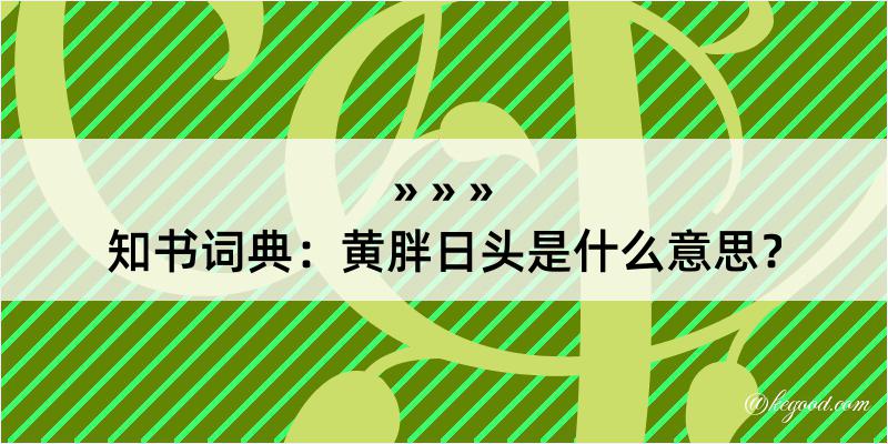 知书词典：黄胖日头是什么意思？