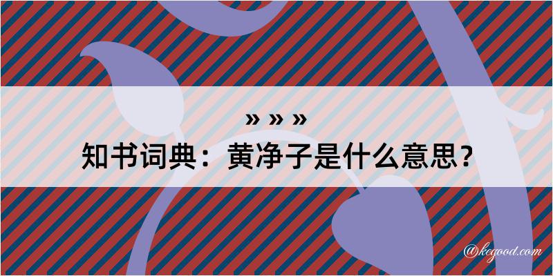 知书词典：黄净子是什么意思？