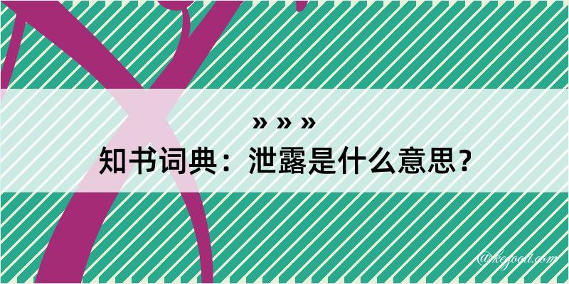 知书词典：泄露是什么意思？