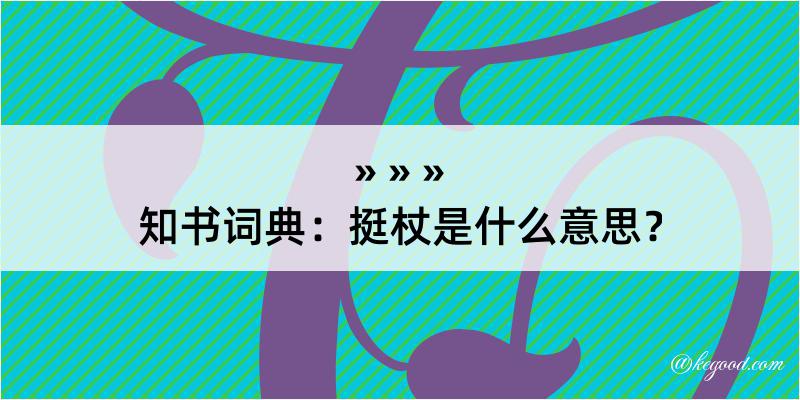 知书词典：挺杖是什么意思？