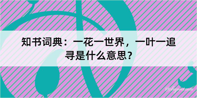 知书词典：一花一世界，一叶一追寻是什么意思？