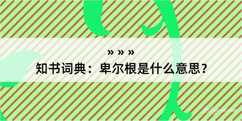 知书词典：卑尔根是什么意思？