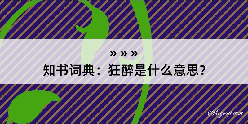 知书词典：狂醉是什么意思？