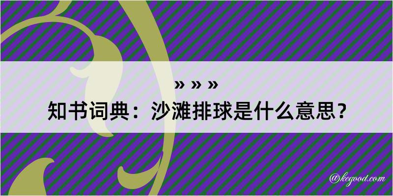 知书词典：沙滩排球是什么意思？