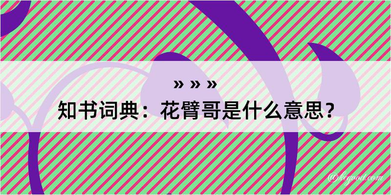 知书词典：花臂哥是什么意思？