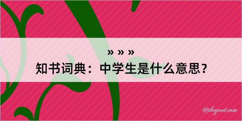 知书词典：中学生是什么意思？