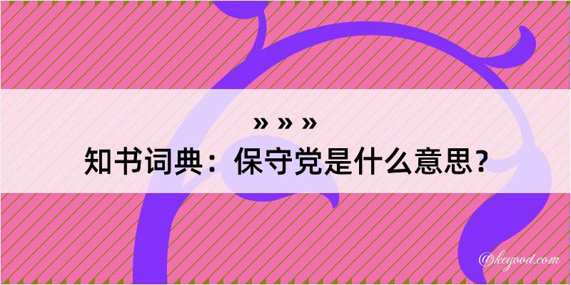 知书词典：保守党是什么意思？