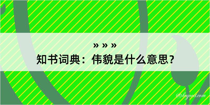 知书词典：伟貌是什么意思？