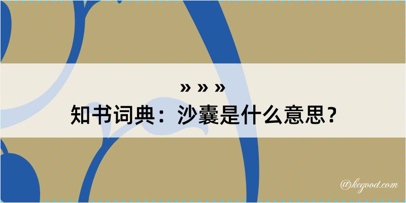 知书词典：沙囊是什么意思？