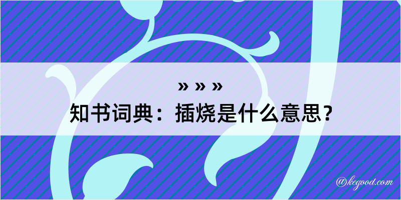 知书词典：插烧是什么意思？