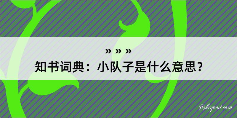 知书词典：小队子是什么意思？