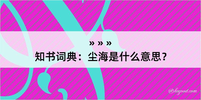 知书词典：尘海是什么意思？