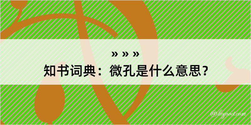 知书词典：微孔是什么意思？