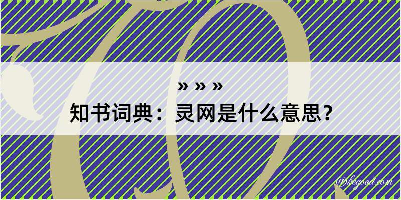 知书词典：灵网是什么意思？