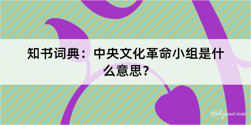 知书词典：中央文化革命小组是什么意思？