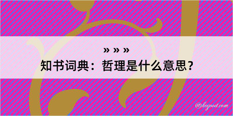 知书词典：哲理是什么意思？