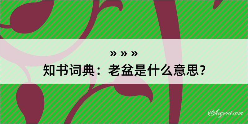 知书词典：老盆是什么意思？