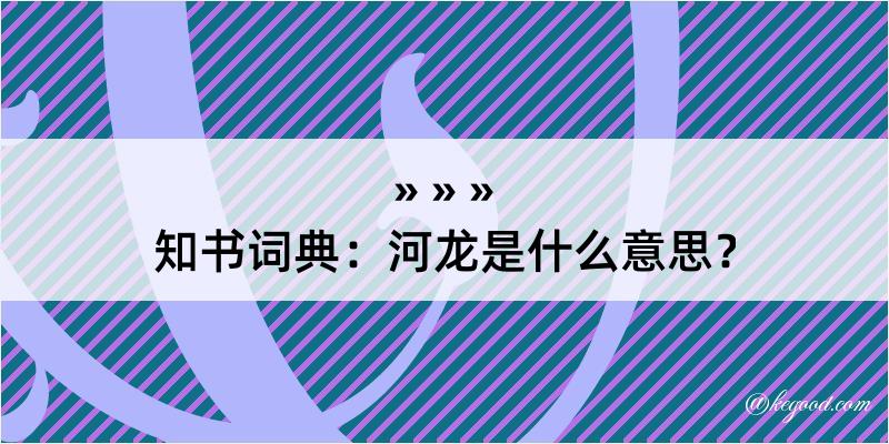 知书词典：河龙是什么意思？