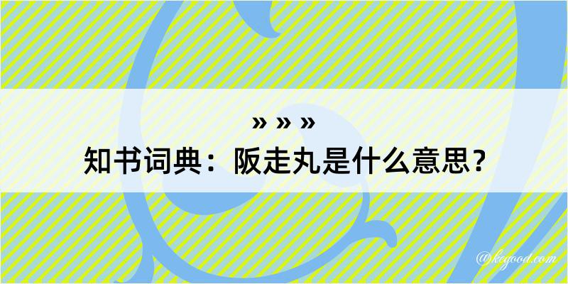 知书词典：阪走丸是什么意思？