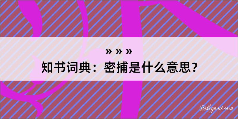 知书词典：密捕是什么意思？