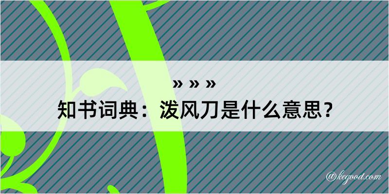 知书词典：泼风刀是什么意思？