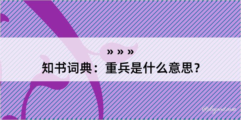 知书词典：重兵是什么意思？