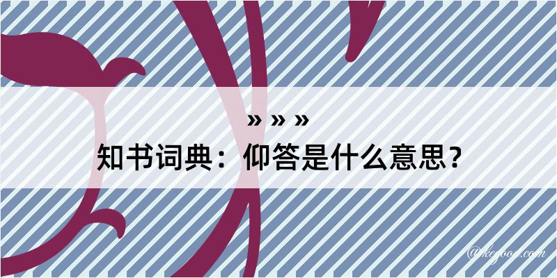 知书词典：仰答是什么意思？