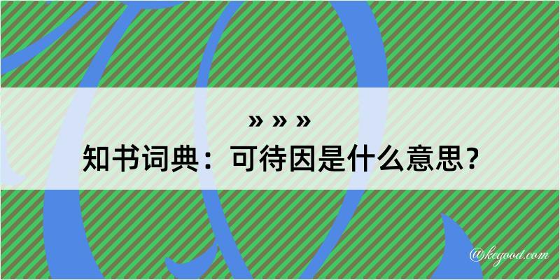 知书词典：可待因是什么意思？