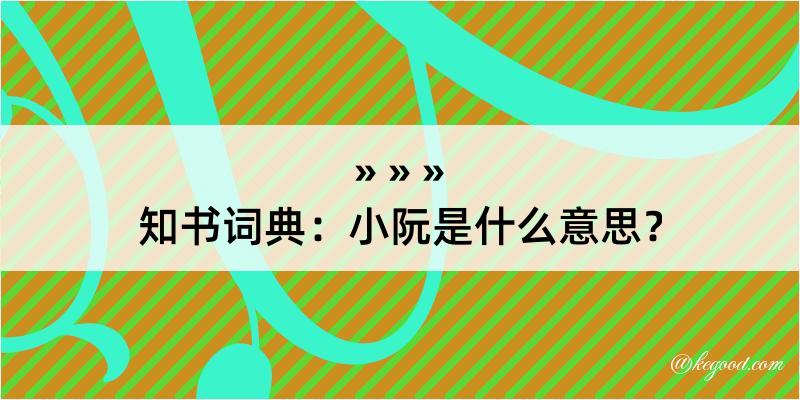 知书词典：小阮是什么意思？