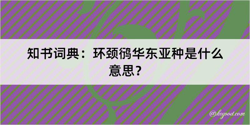 知书词典：环颈鸻华东亚种是什么意思？