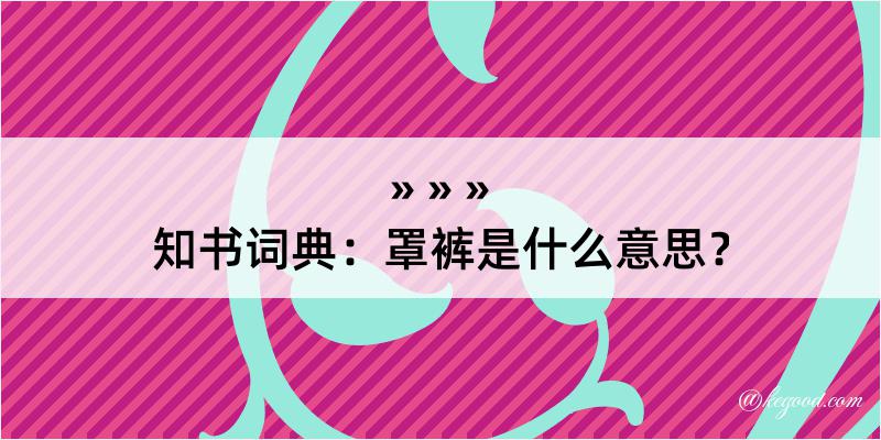 知书词典：罩裤是什么意思？