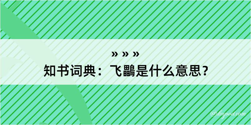 知书词典：飞鸓是什么意思？