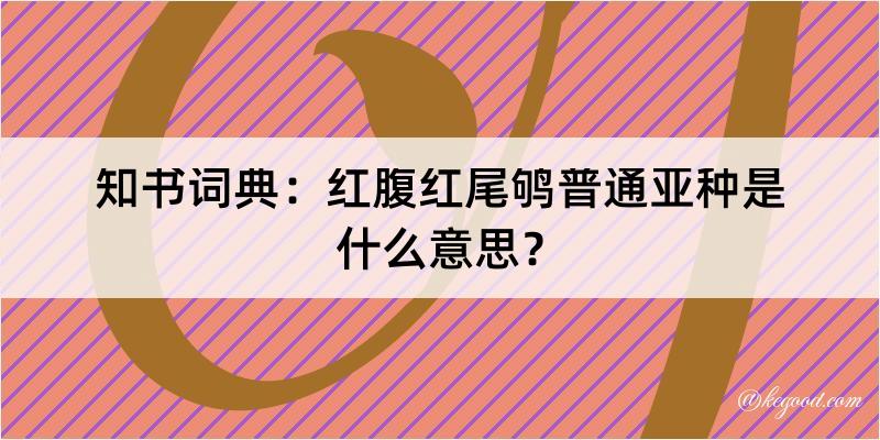 知书词典：红腹红尾鸲普通亚种是什么意思？