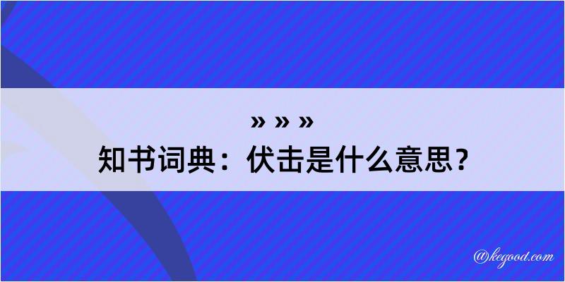 知书词典：伏击是什么意思？