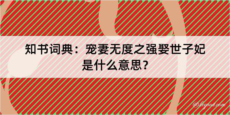 知书词典：宠妻无度之强娶世子妃是什么意思？