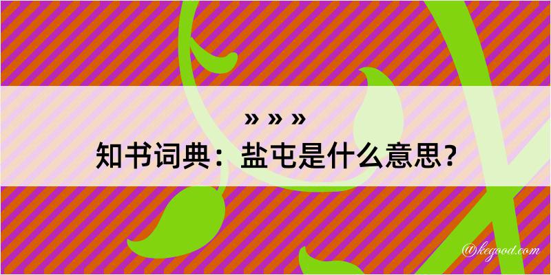 知书词典：盐屯是什么意思？