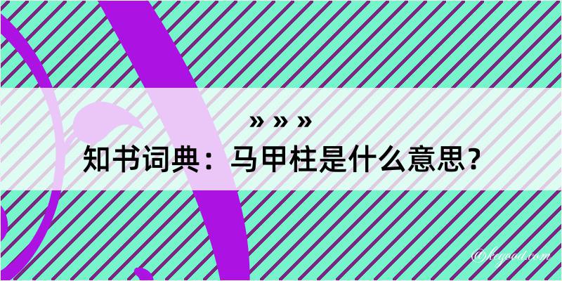 知书词典：马甲柱是什么意思？